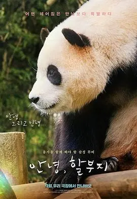 《再见，福宝》：一部关于告别与希望的治愈之作