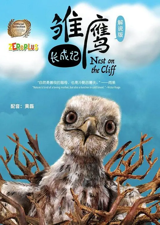 《雏鹰长成记》：一部充满热血与梦想的青春励志电影