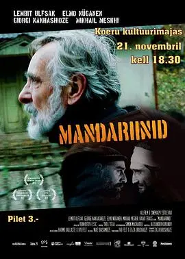 《金橘》影评：苦涩果实酿就的战争之殇，人性的光辉在绝望中闪耀