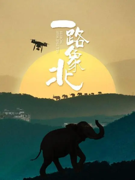 《一路“象”北》：一场人与自然的温情之旅，感动与思考并存！