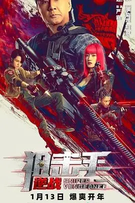 《狙击手：逆战》：硝烟中的生死对决，战友情谊与家国情怀的极致展现